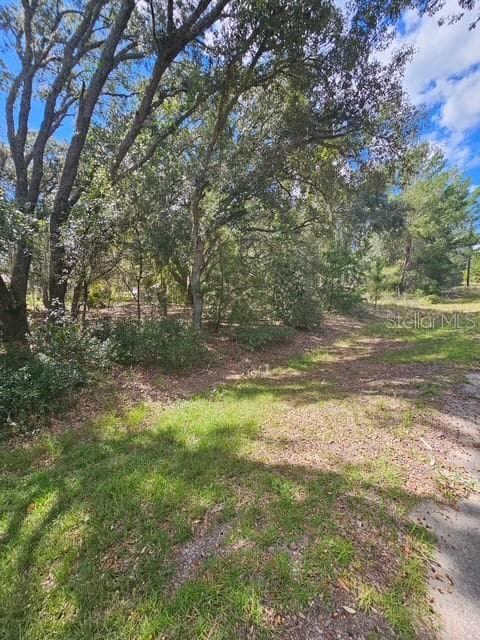 Land at Lot 4 FISHER TERRACE PL, OCKLAWAHA, photo 11 of 18