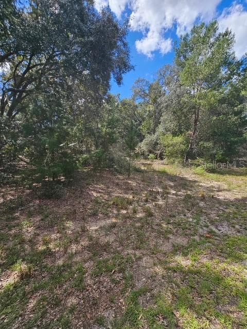 Land at Lot 4 FISHER TERRACE PL, OCKLAWAHA, photo 13 of 18