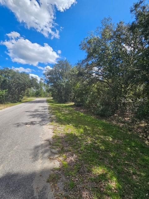 Land at Lot 4 FISHER TERRACE PL, OCKLAWAHA, photo 15 of 18