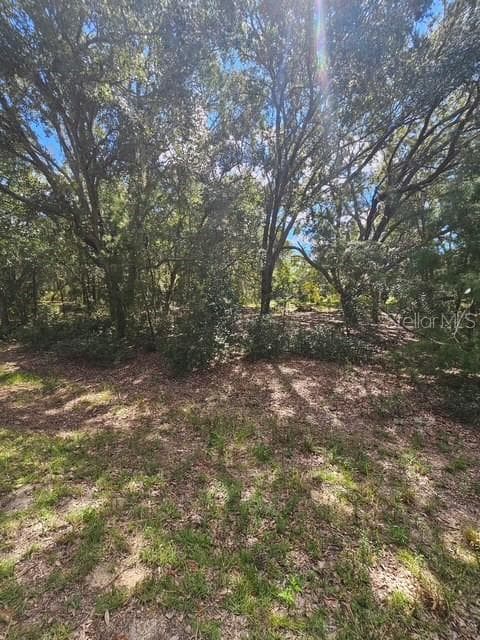 Land at Lot 4 FISHER TERRACE PL, OCKLAWAHA, photo 16 of 18