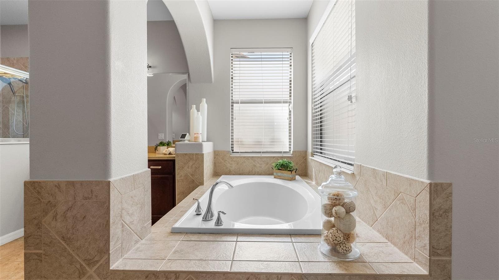 Primary En-Suite-Soaking Tub - 20316 HERITAGE POINT DR, TAMPA