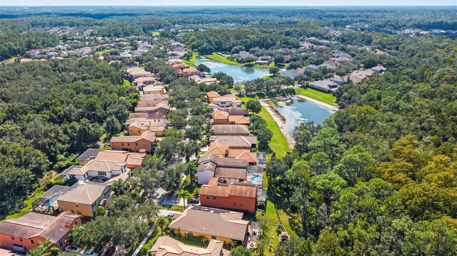 Aerial - 20316 HERITAGE POINT DR, TAMPA
