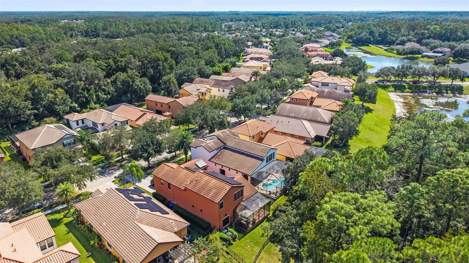 Aerial - 20316 HERITAGE POINT DR, TAMPA