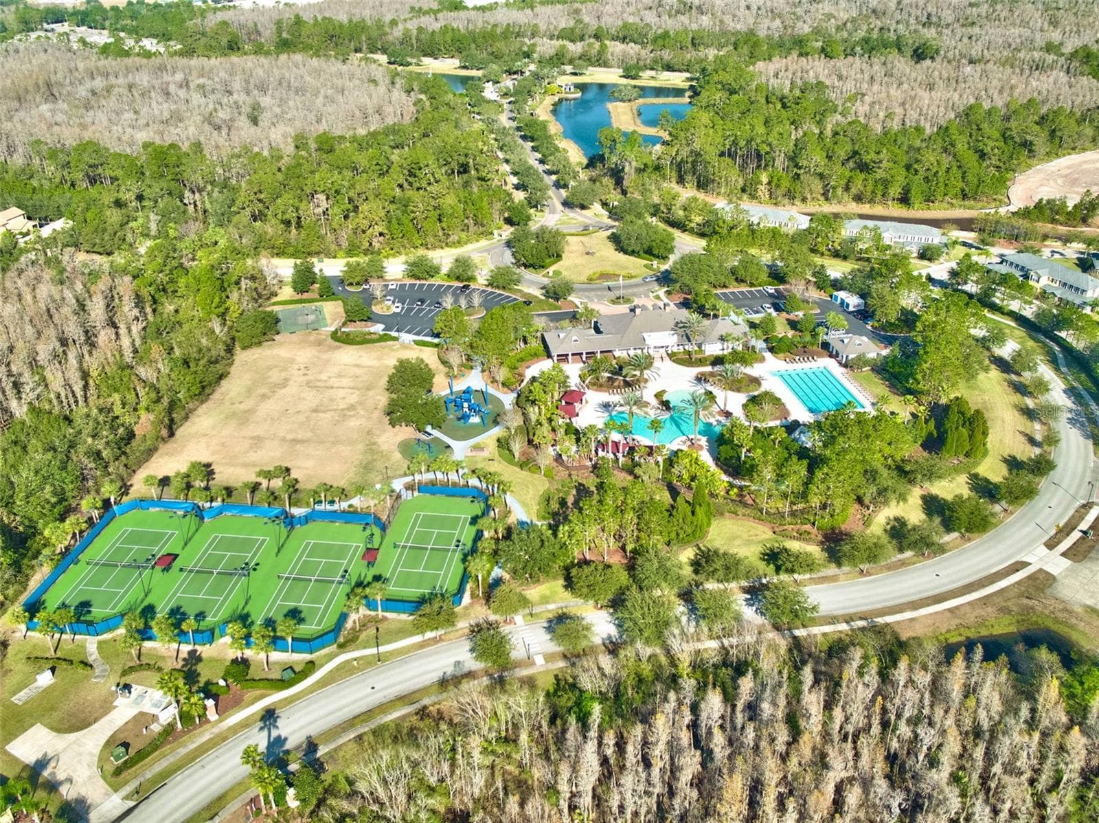 Aerial Of Amenities - 20316 HERITAGE POINT DR, TAMPA