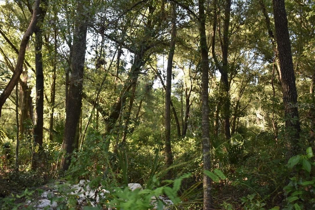Land at 6320 N ORANGE BLOSSOM TRL, MOUNT DORA, photo 40 of 49