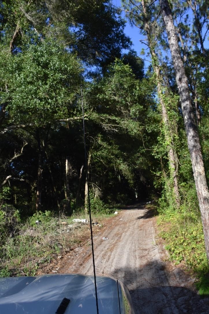 Land at 6320 N ORANGE BLOSSOM TRL, MOUNT DORA, photo 37 of 49