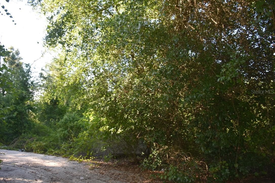 Land at 6320 N ORANGE BLOSSOM TRL, MOUNT DORA, photo 36 of 49