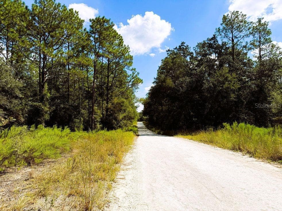Land at 0 SW 13TH ST, OCALA, photo 6 of 22
