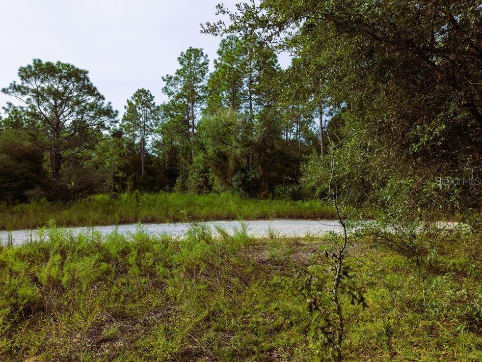 Land at 0 SW 13TH ST, OCALA, photo 8 of 22