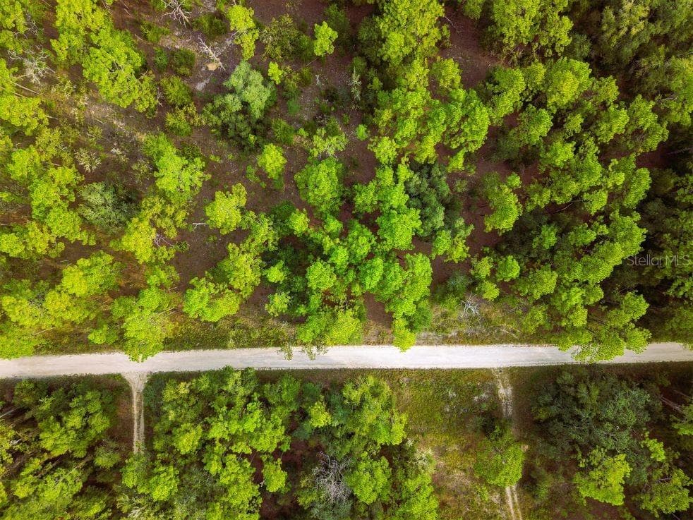 Land at 0 SW 13TH ST, OCALA, photo 9 of 22