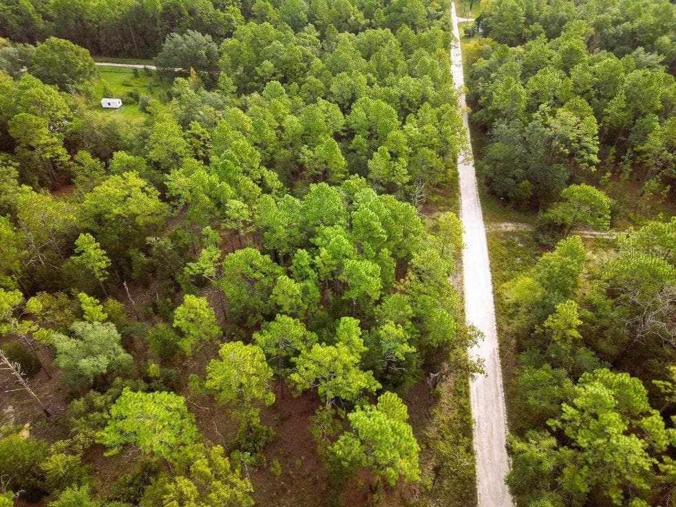 Land at 0 SW 13TH ST, OCALA, photo 11 of 22