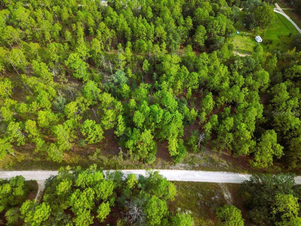 Land at 0 SW 13TH ST, OCALA, photo 14 of 22
