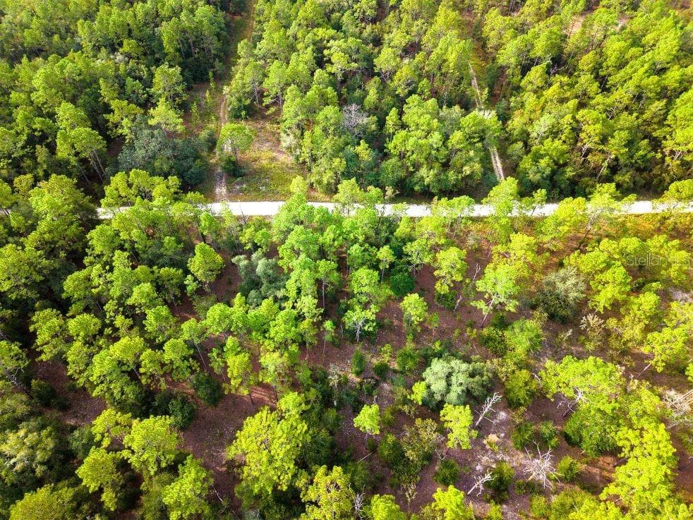 Land at 0 SW 13TH ST, OCALA, photo 15 of 22