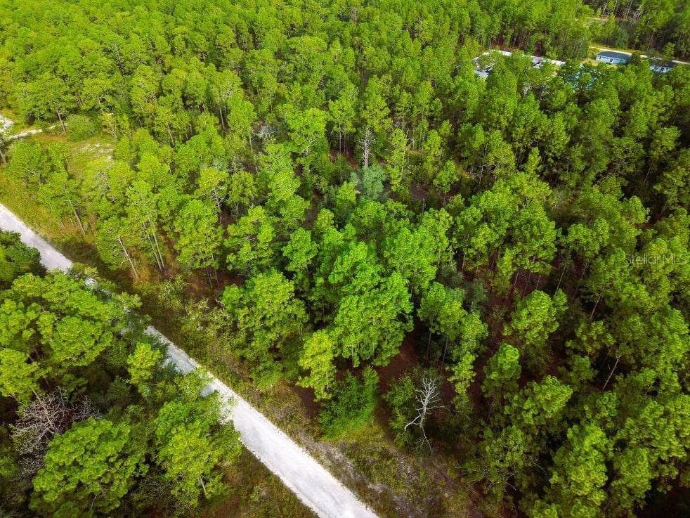 Land at 0 SW 13TH ST, OCALA, photo 16 of 22