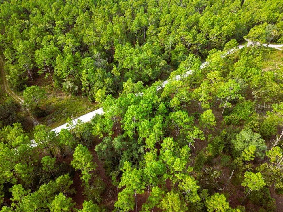 Land at 0 SW 13TH ST, OCALA, photo 18 of 22