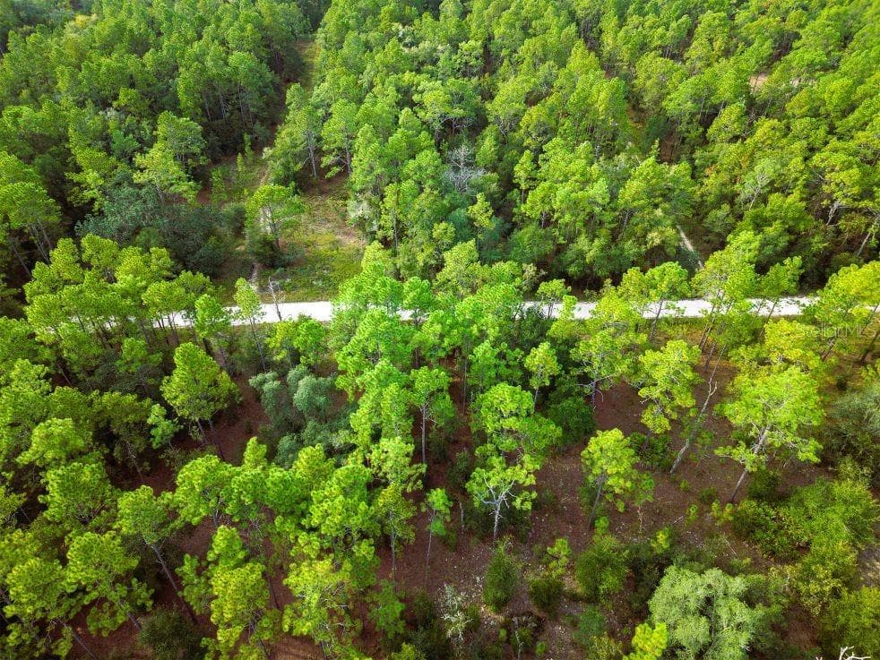 Land at 0 SW 13TH ST, OCALA, photo 19 of 22