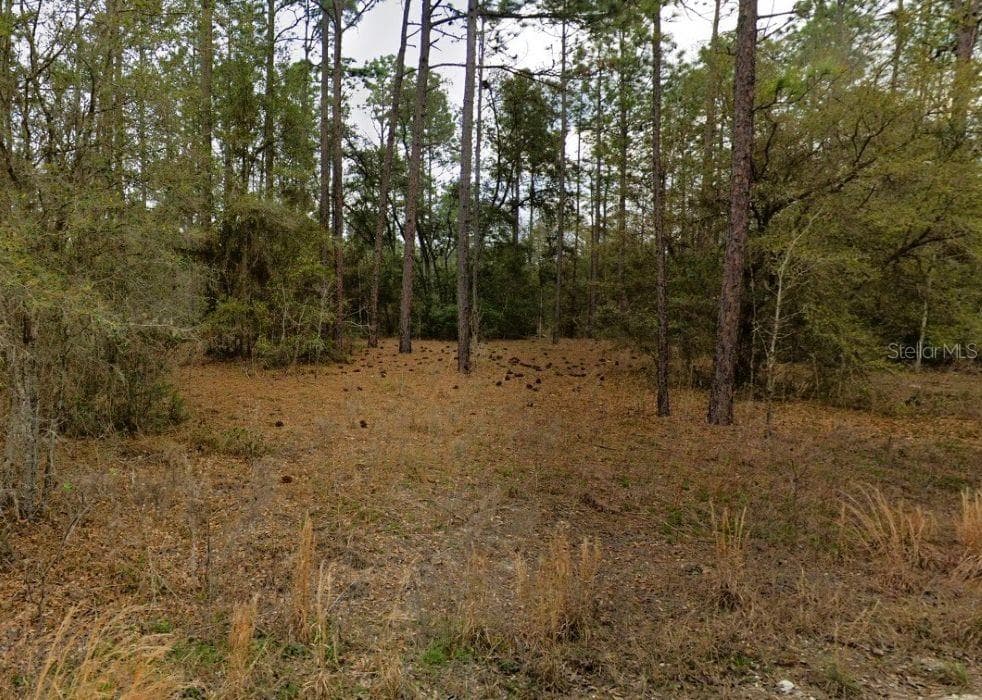 Land at 0 SW 13TH ST, OCALA, photo 22 of 22