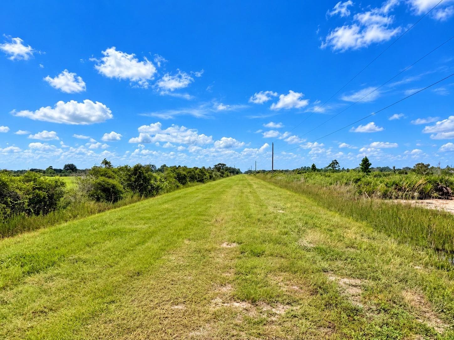 Land at 18619 NW 248TH ST, OKEECHOBEE, photo 4 of 5