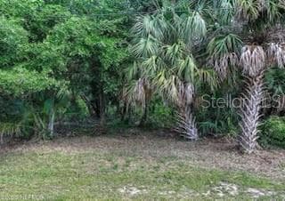 Land at 31 DEERWOOD ST, PALM COAST, photo 2 of 9