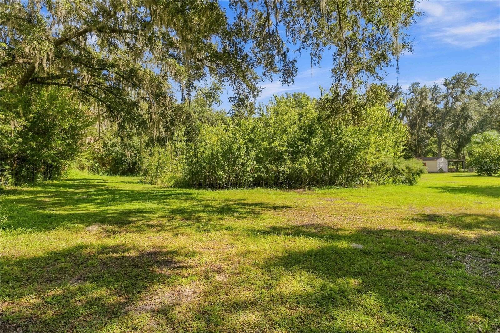 Single Family Residence at 6910 CHARLES HUMPHREY RD, PLANT CITY, photo 35 of 52