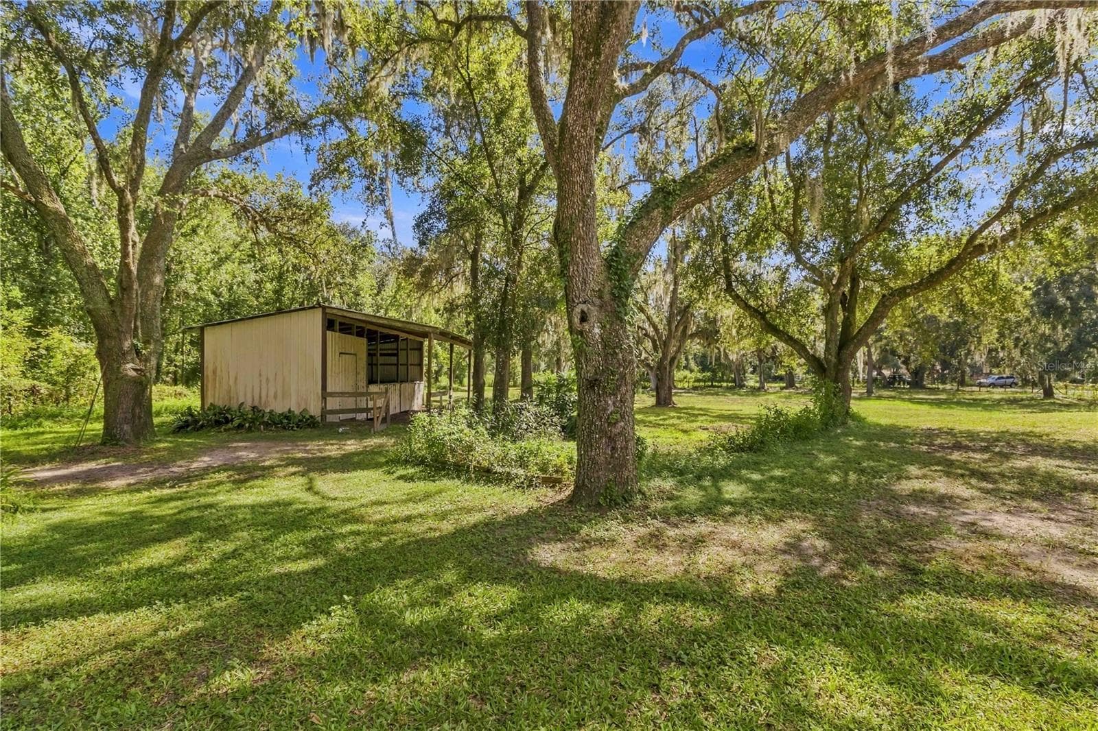 Single Family Residence at 6910 CHARLES HUMPHREY RD, PLANT CITY, photo 38 of 52