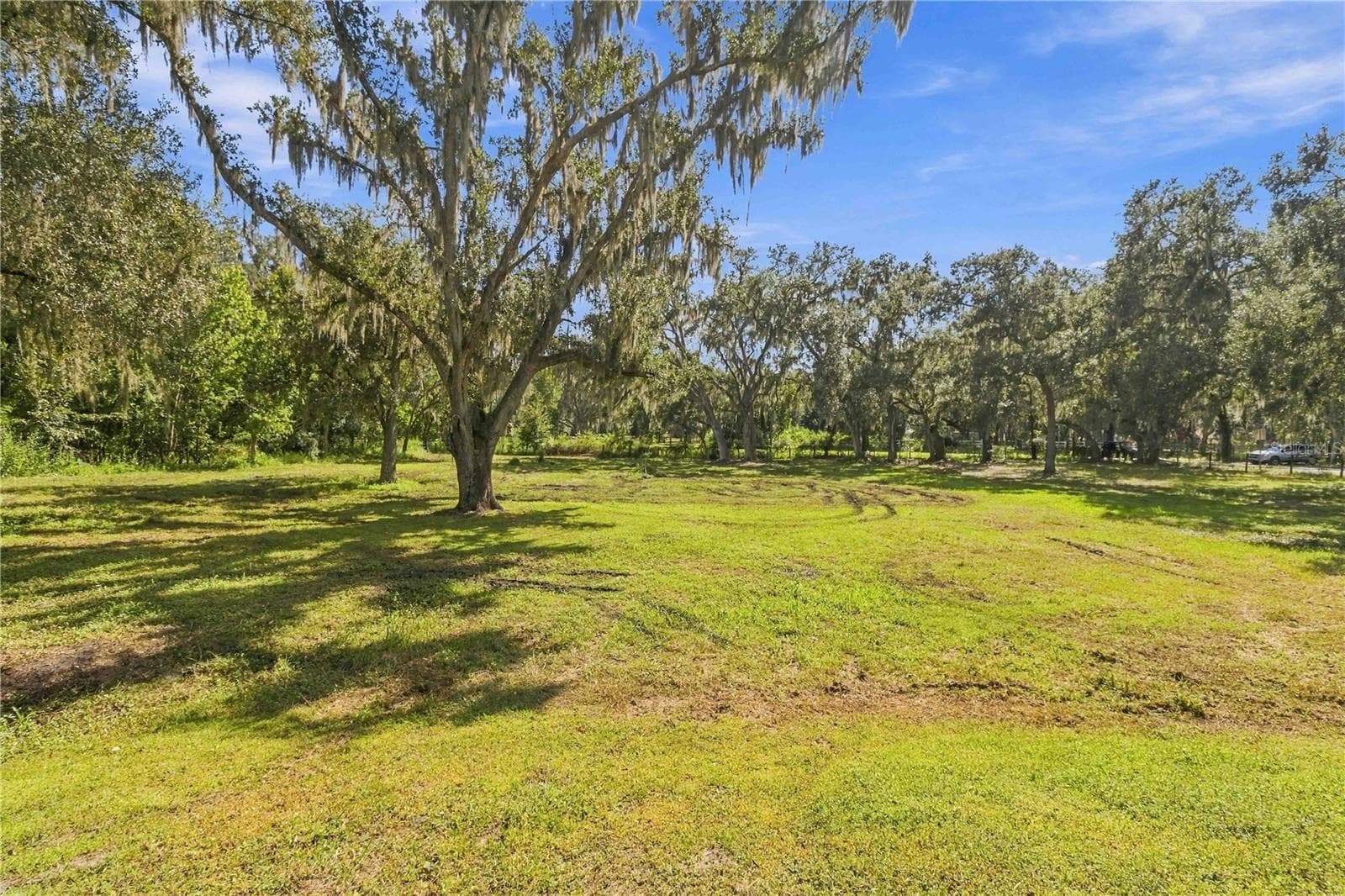 Single Family Residence at 6910 CHARLES HUMPHREY RD, PLANT CITY, photo 39 of 52