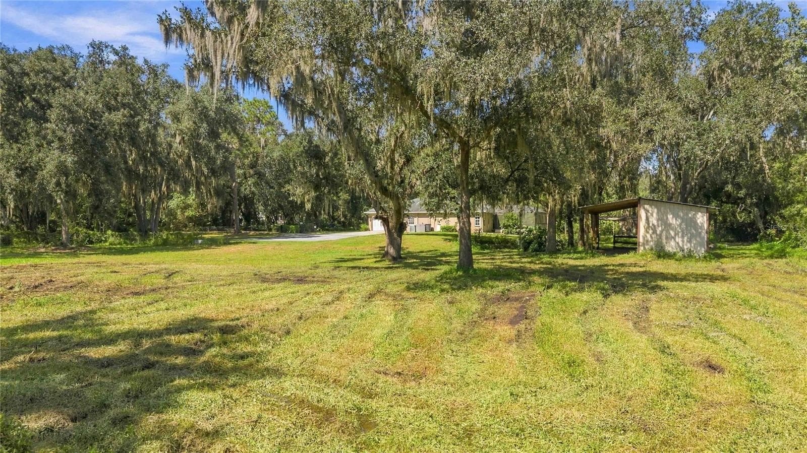 Single Family Residence at 6910 CHARLES HUMPHREY RD, PLANT CITY, photo 44 of 52