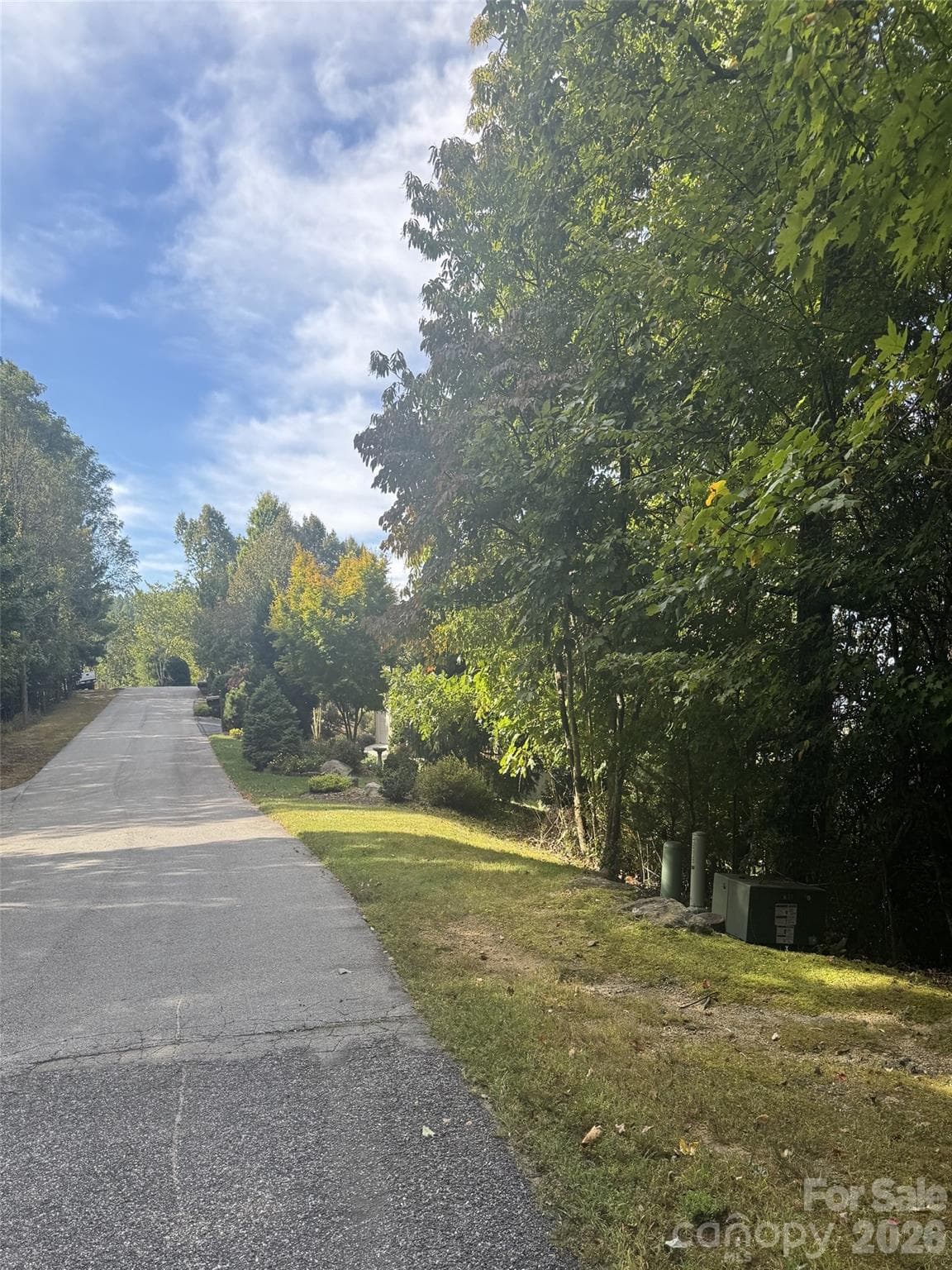 200 Ladys Fern Trail