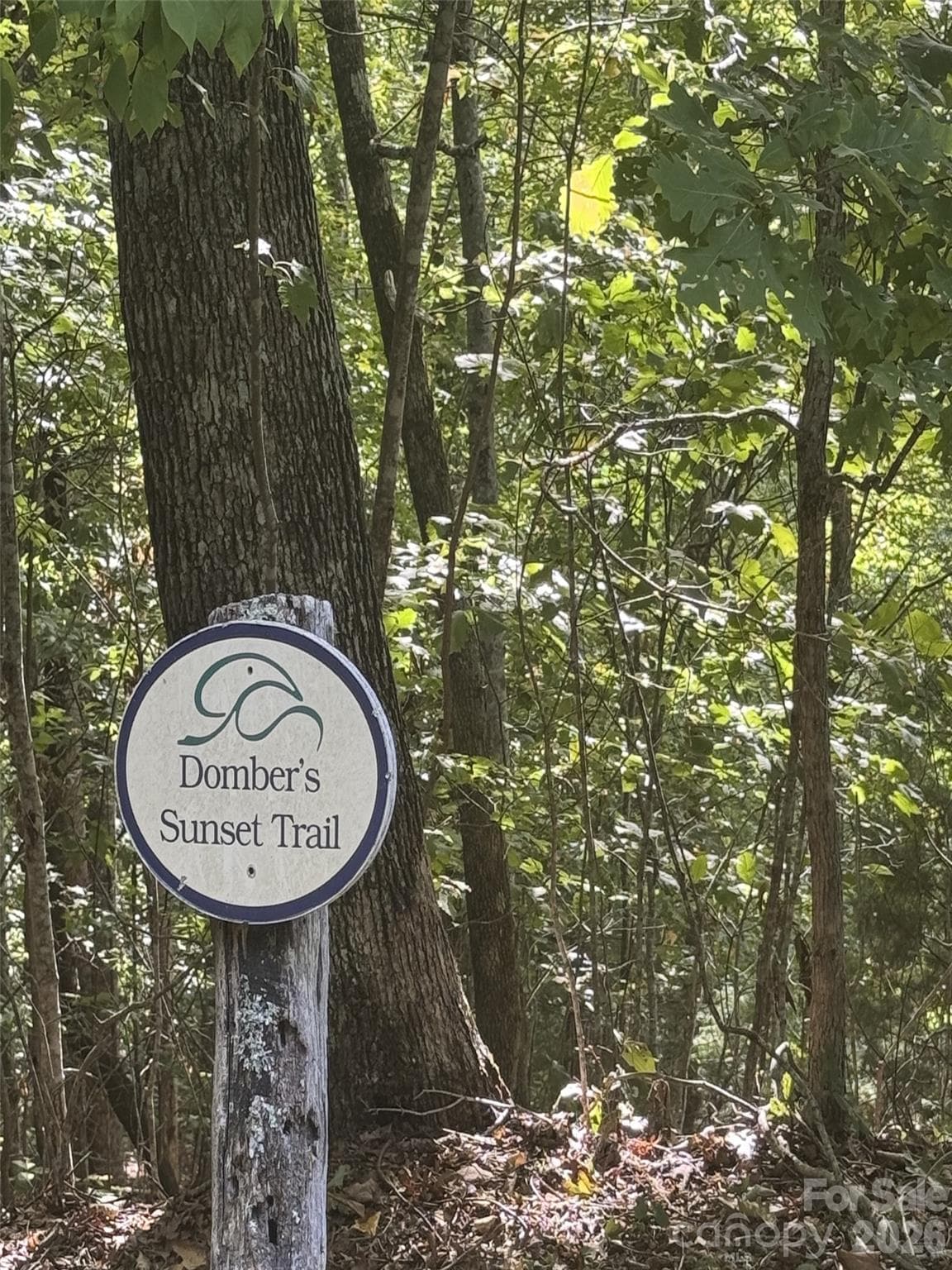 Lot at 200 Ladys Fern Trail, Laurel Park, photo 2 of 3