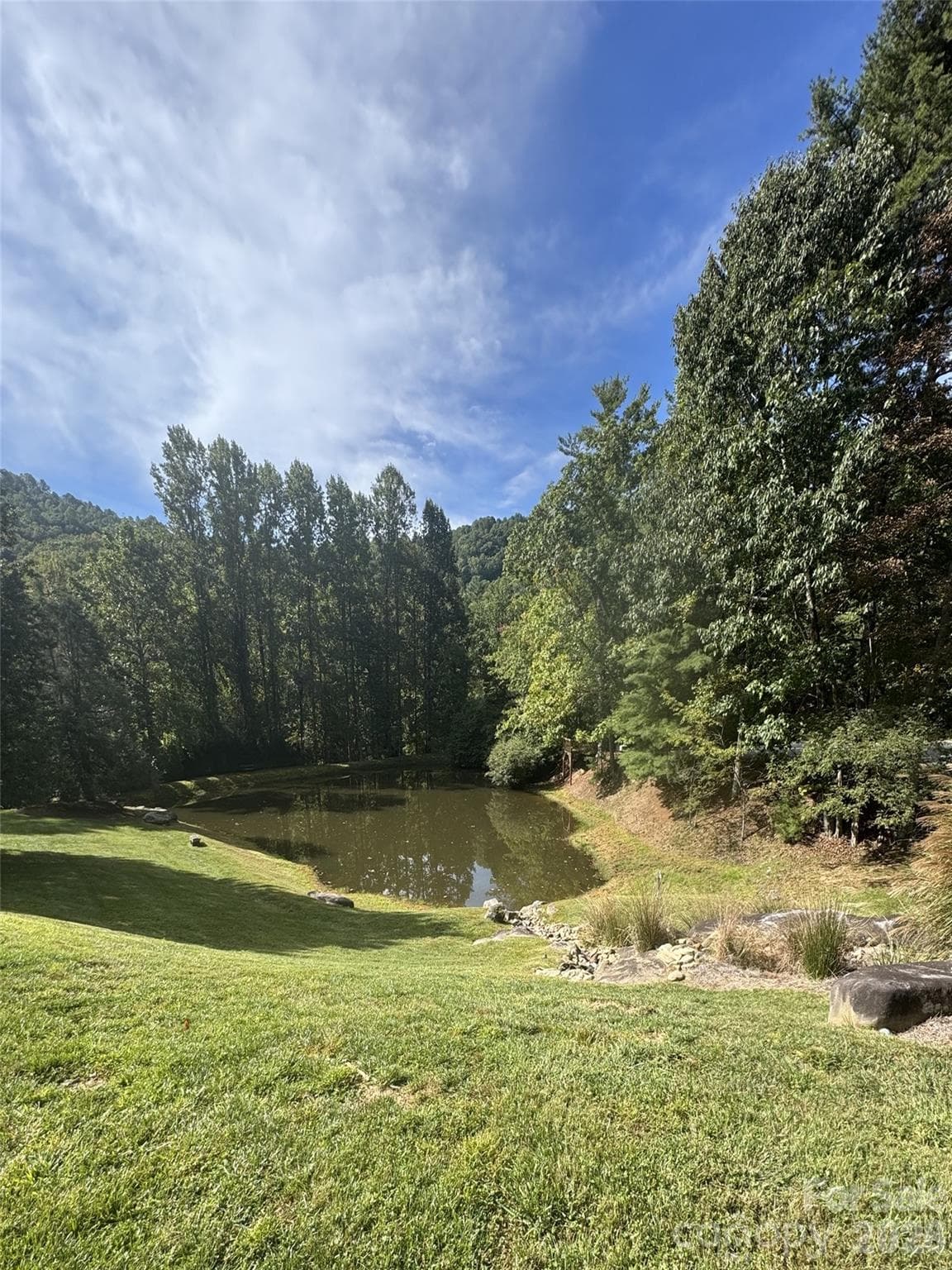 Lot at 200 Ladys Fern Trail, Laurel Park, photo 3 of 3