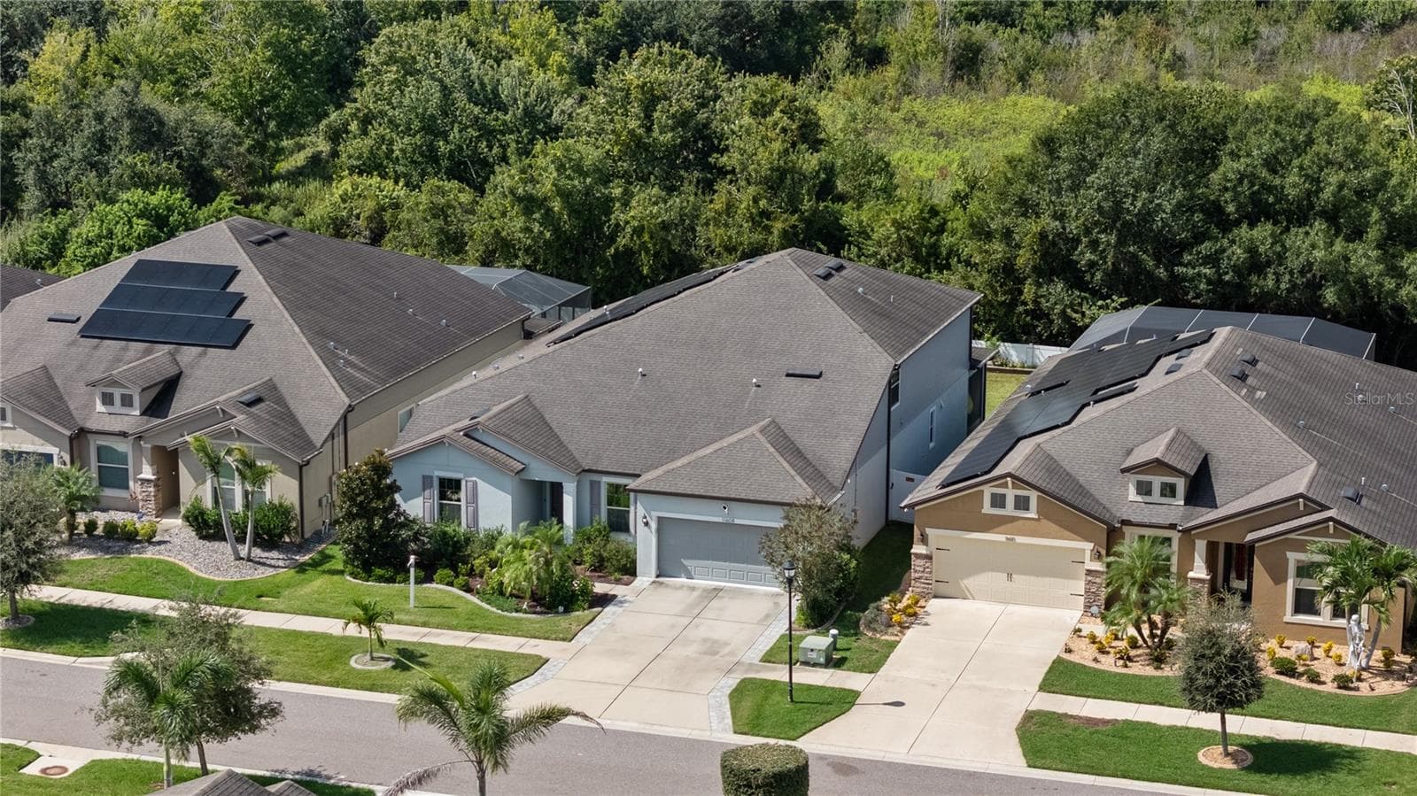 Aerial View of Property - 11608 DUBLIN GRAFTON DR, RIVERVIEW