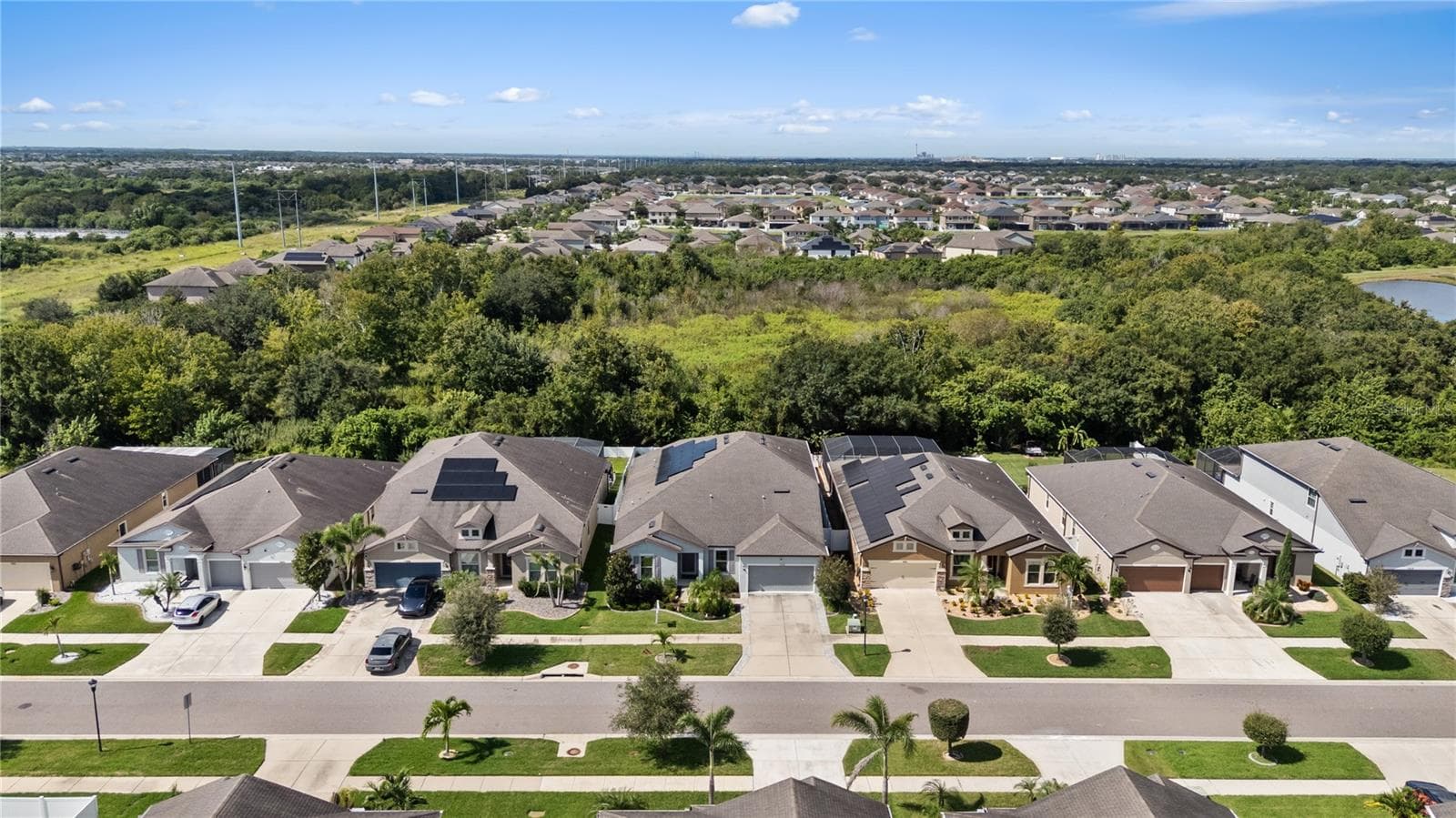Bird's Eye View of Property - 11608 DUBLIN GRAFTON DR, RIVERVIEW