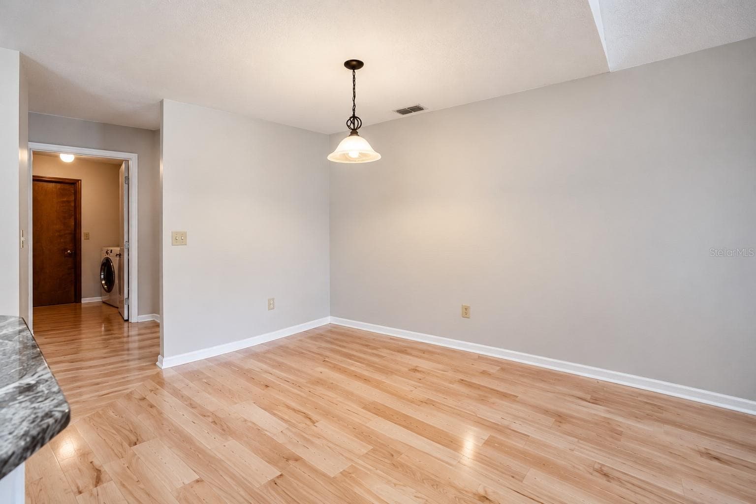 furniture virtually removed - 1749 LADY BOWERS TRL, LAKELAND