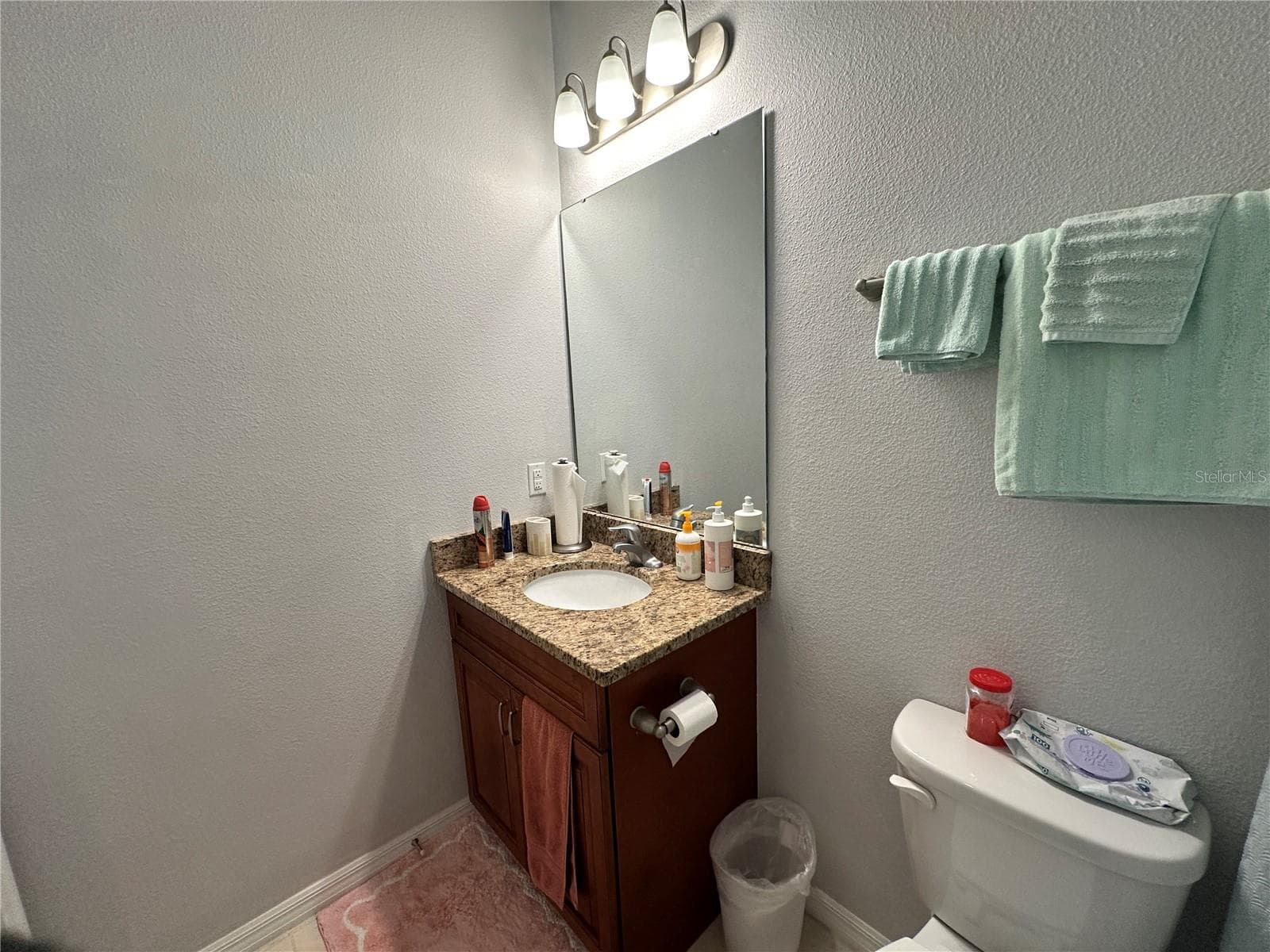 Guest Bathroom - 26942 WHITE PLAINS WAY, LEESBURG