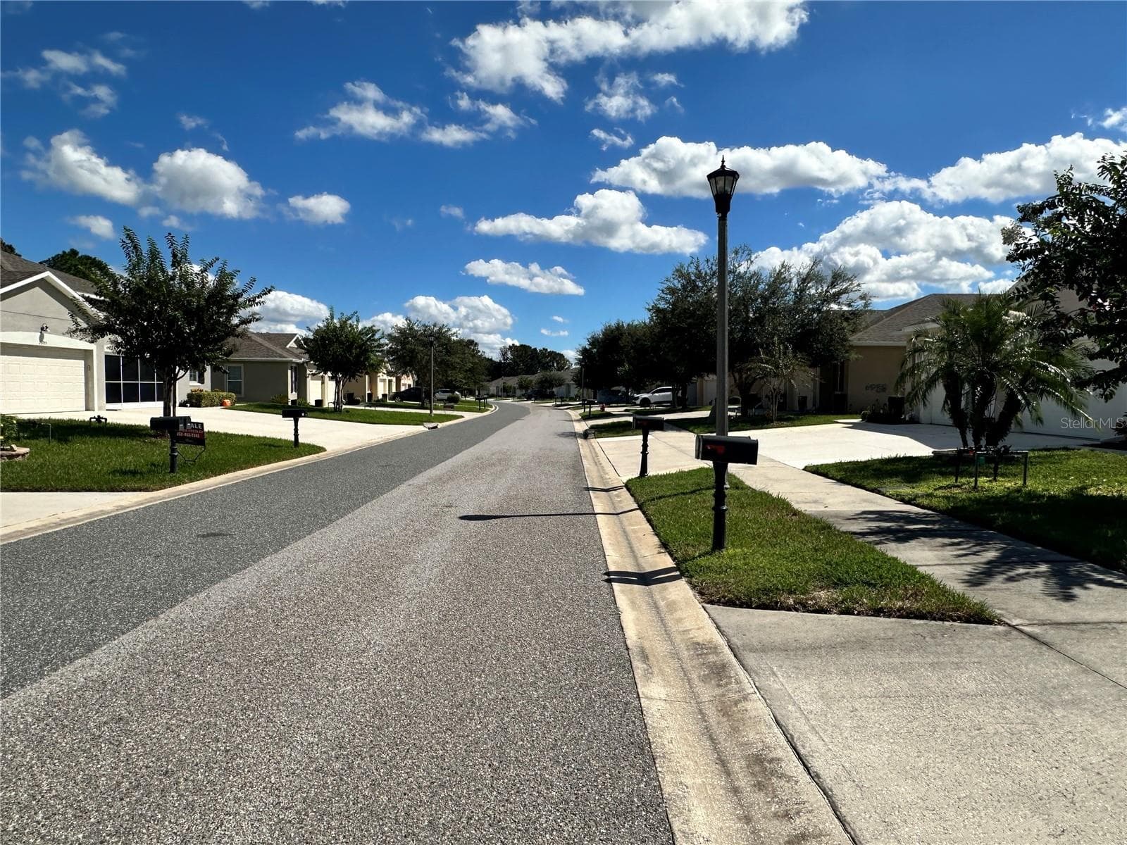 Paved Road and Walkways - 26942 WHITE PLAINS WAY, LEESBURG