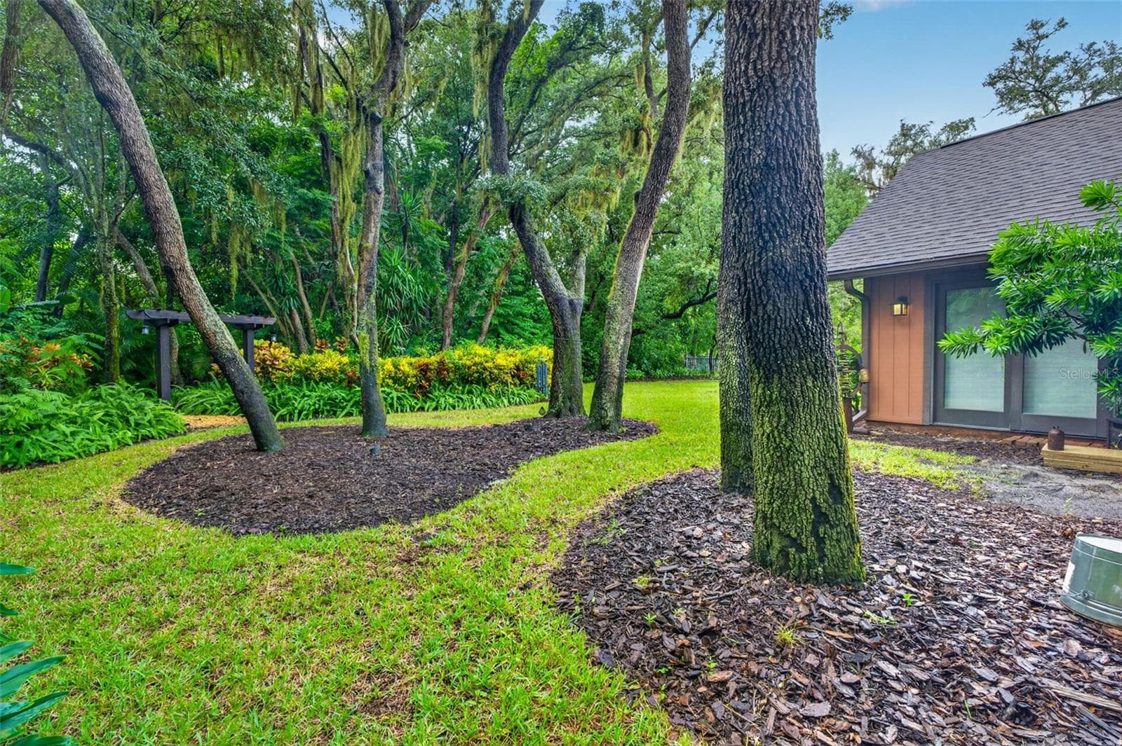Backyard - 3300 MEADOW VIEW LN, PALM HARBOR