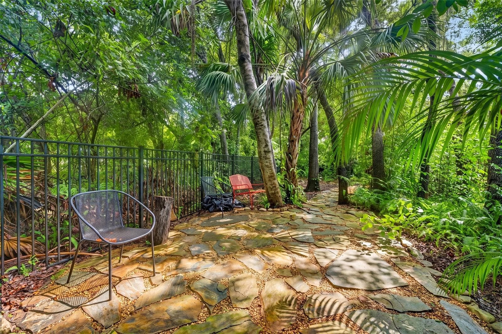 Backyard - 3300 MEADOW VIEW LN, PALM HARBOR