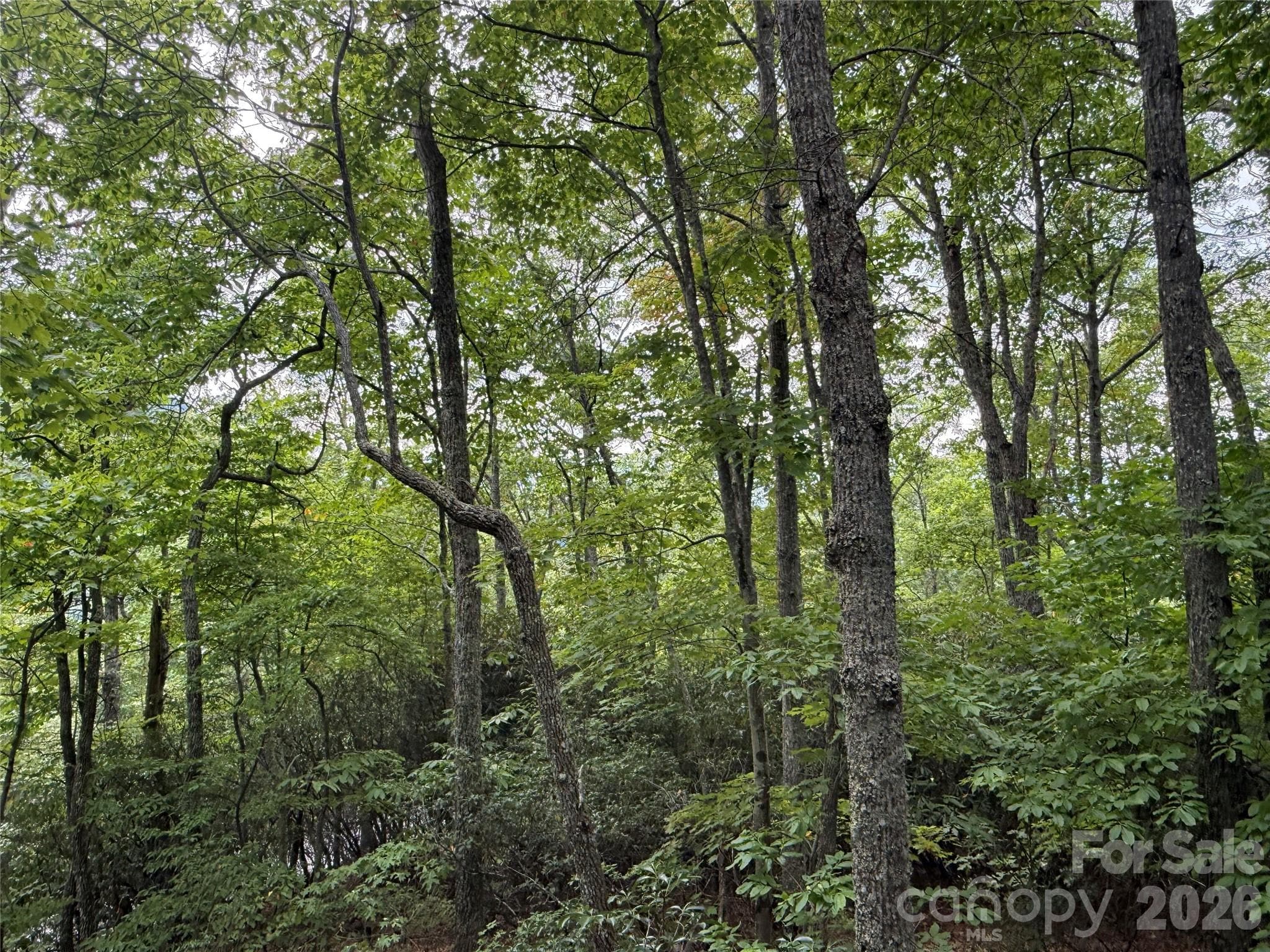 Lot at 3315 Preserve Road, Sylva, photo 2 of 22