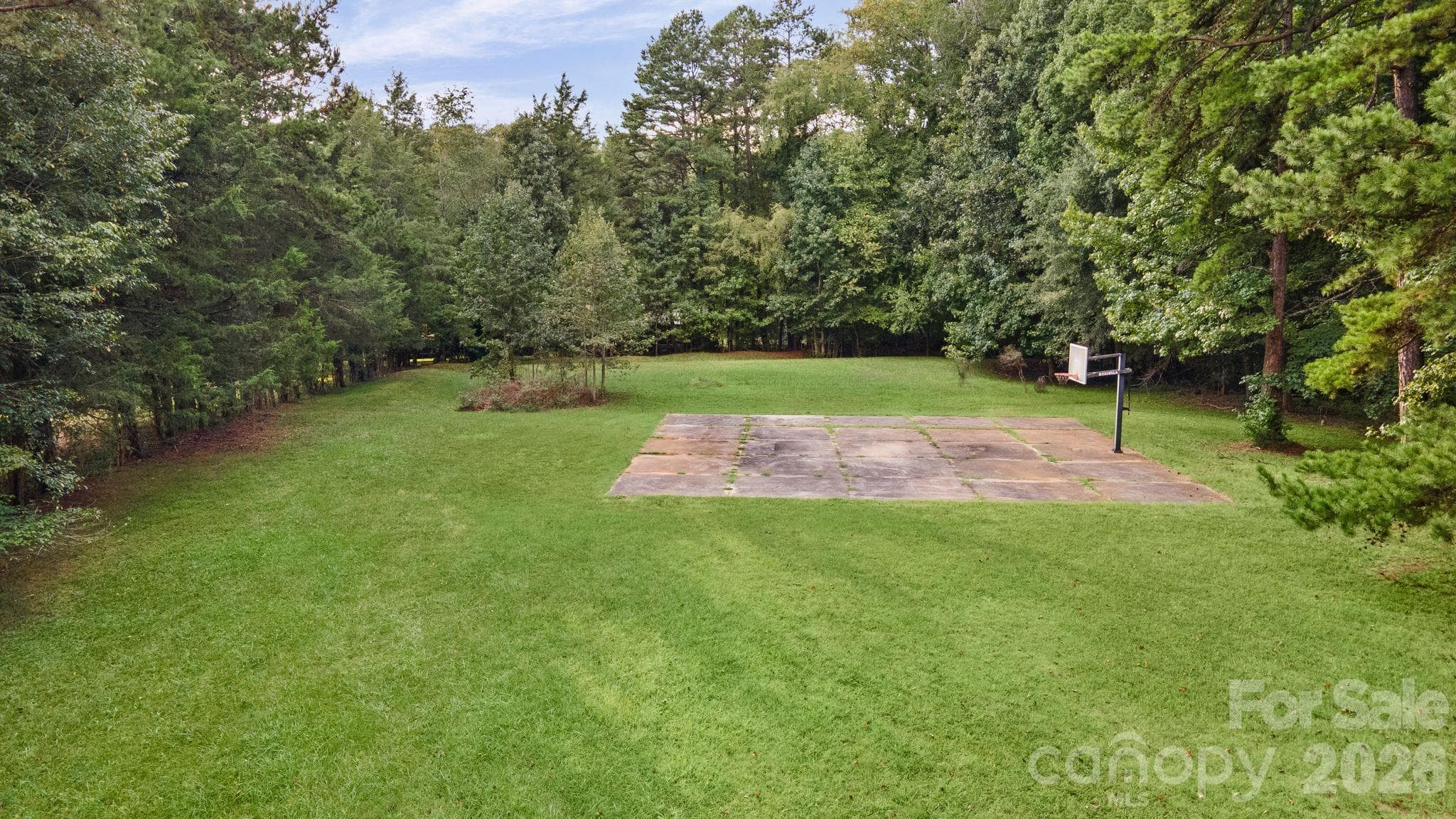 Grassy areas as well as treed areas throughout the property - 2006 Grey Road, Davidson