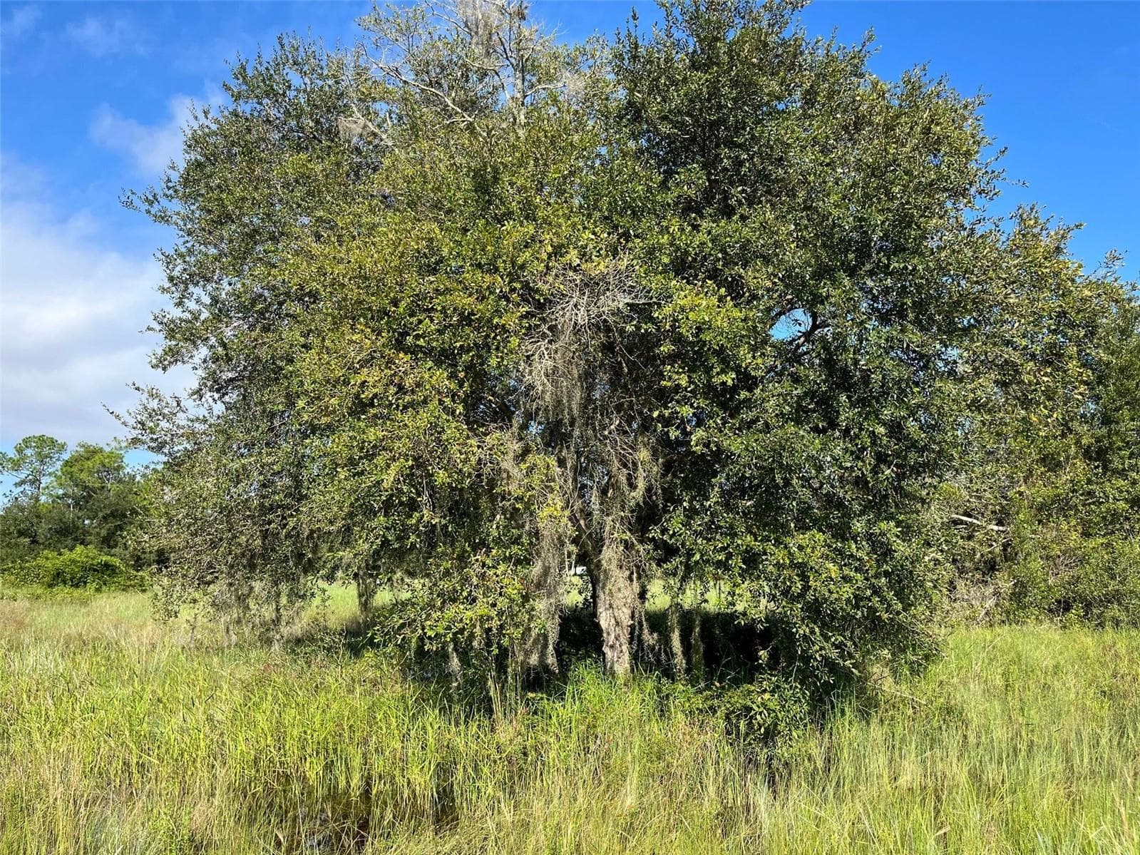 Land at 1702 MCARTHUR AVE, LEHIGH ACRES, photo 2 of 6