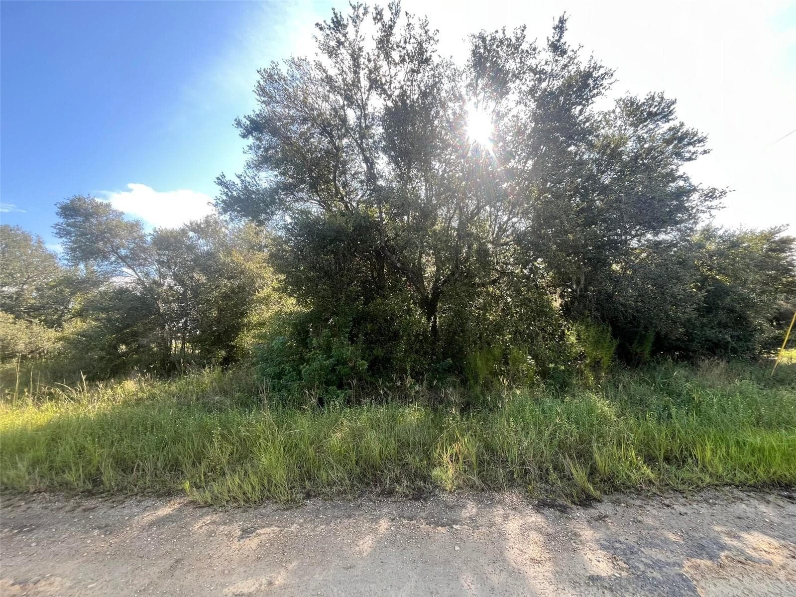 Land at 1702 MCARTHUR AVE, LEHIGH ACRES, photo 6 of 6