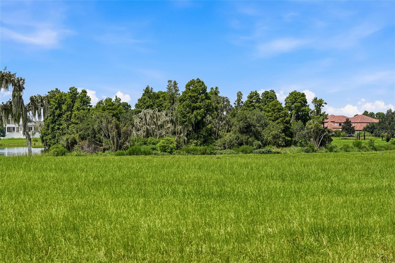 Land at 10710 OSPREY LANDING LOT 48 WAY, THONOTOSASSA, photo 33 of 74