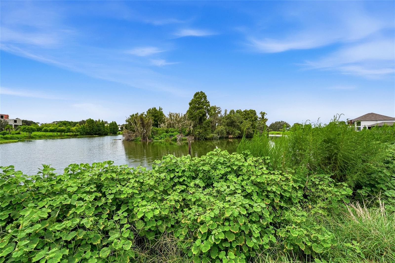 Land at 10710 OSPREY LANDING LOT 48 WAY, THONOTOSASSA, photo 45 of 74