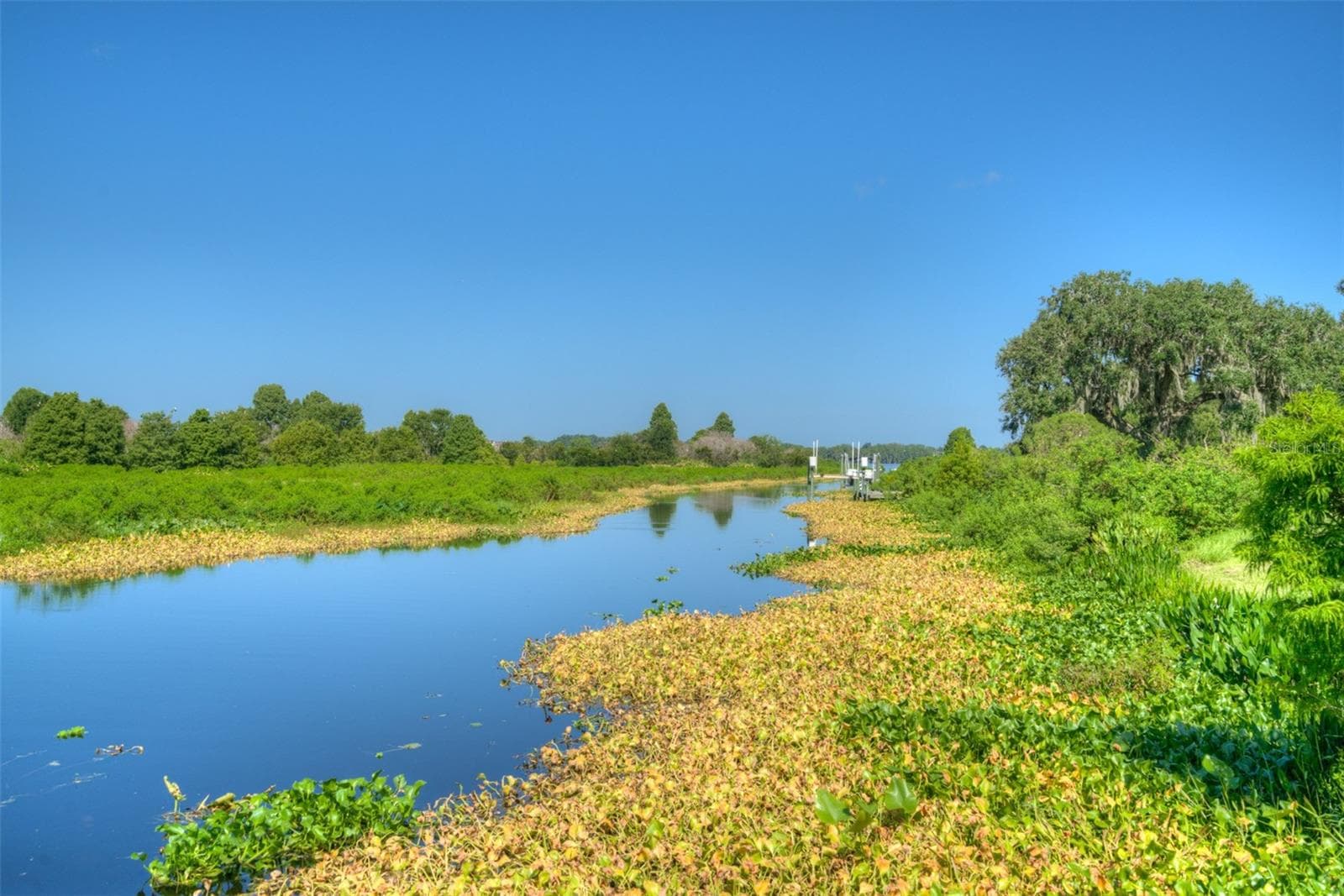 Land at 10710 OSPREY LANDING LOT 48 WAY, THONOTOSASSA, photo 64 of 74