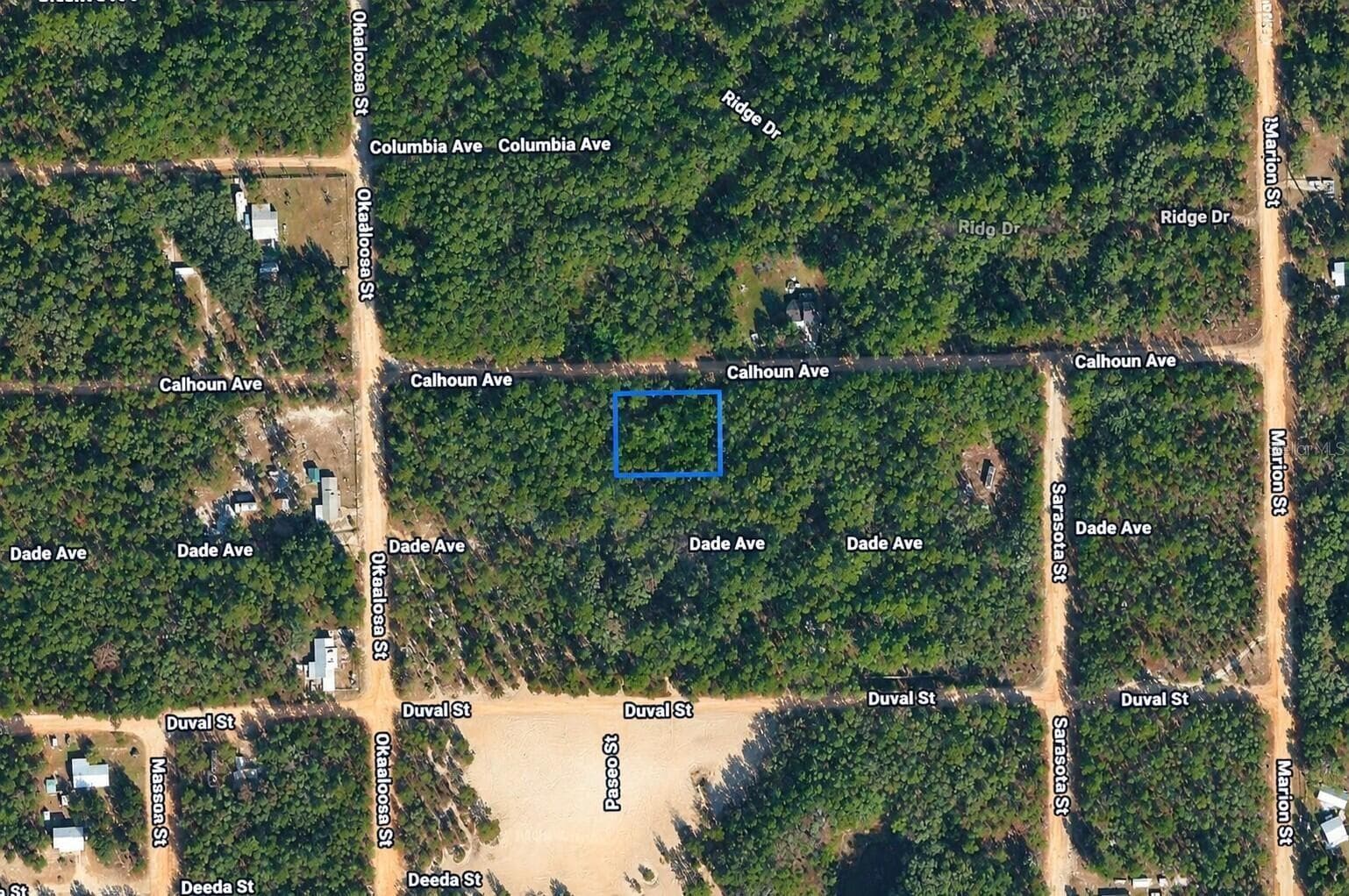313 CALHOUN AVE