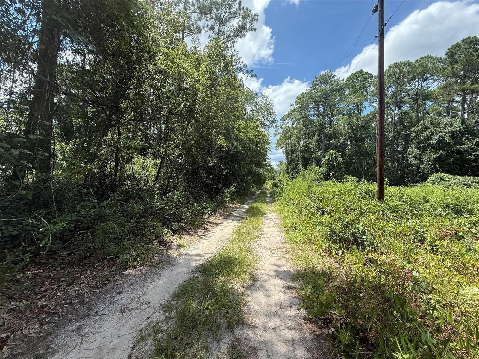 Land at 313 CALHOUN AVE, FLORAHOME, photo 3 of 7