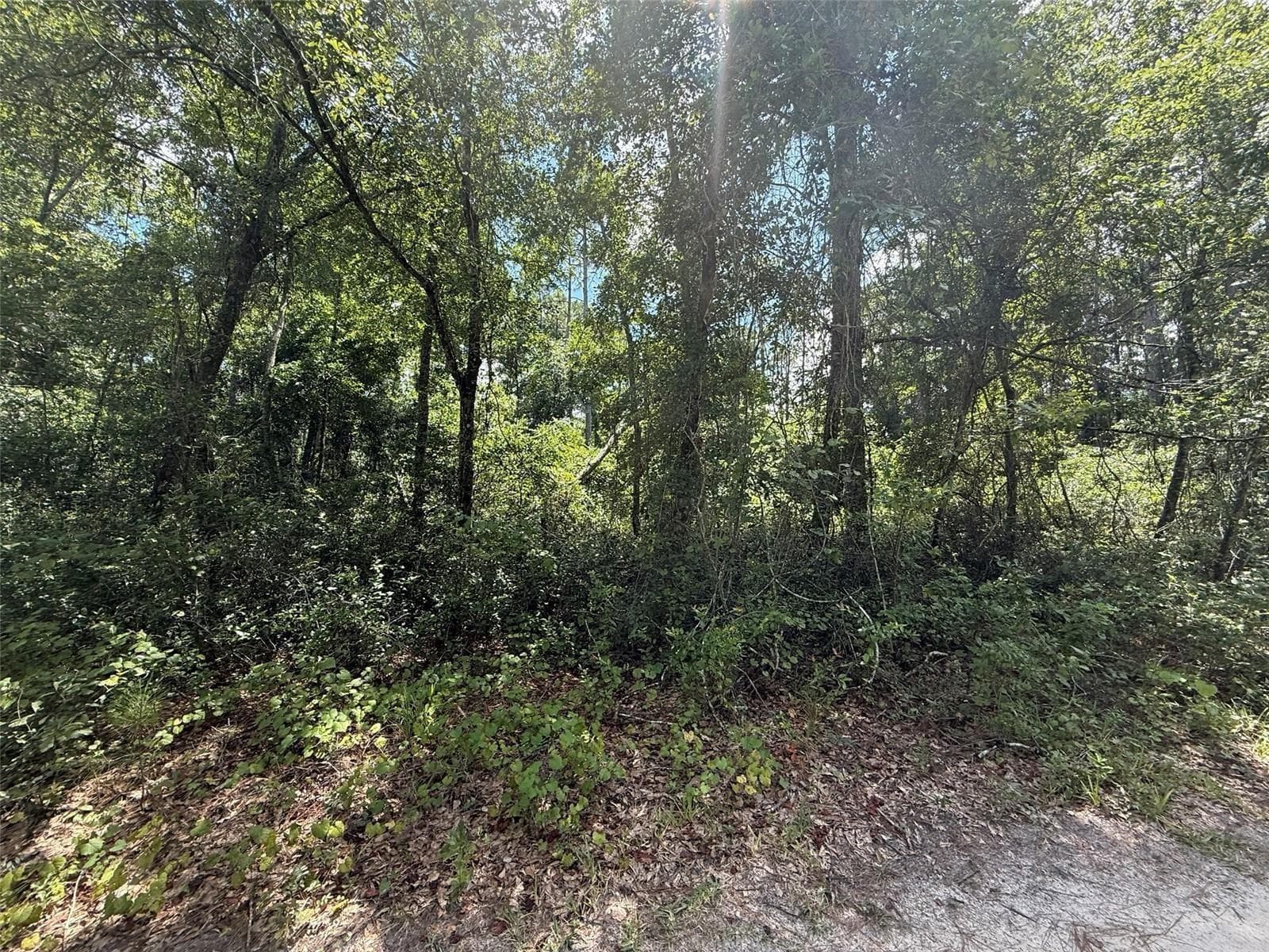 Land at 313 CALHOUN AVE, FLORAHOME, photo 4 of 7