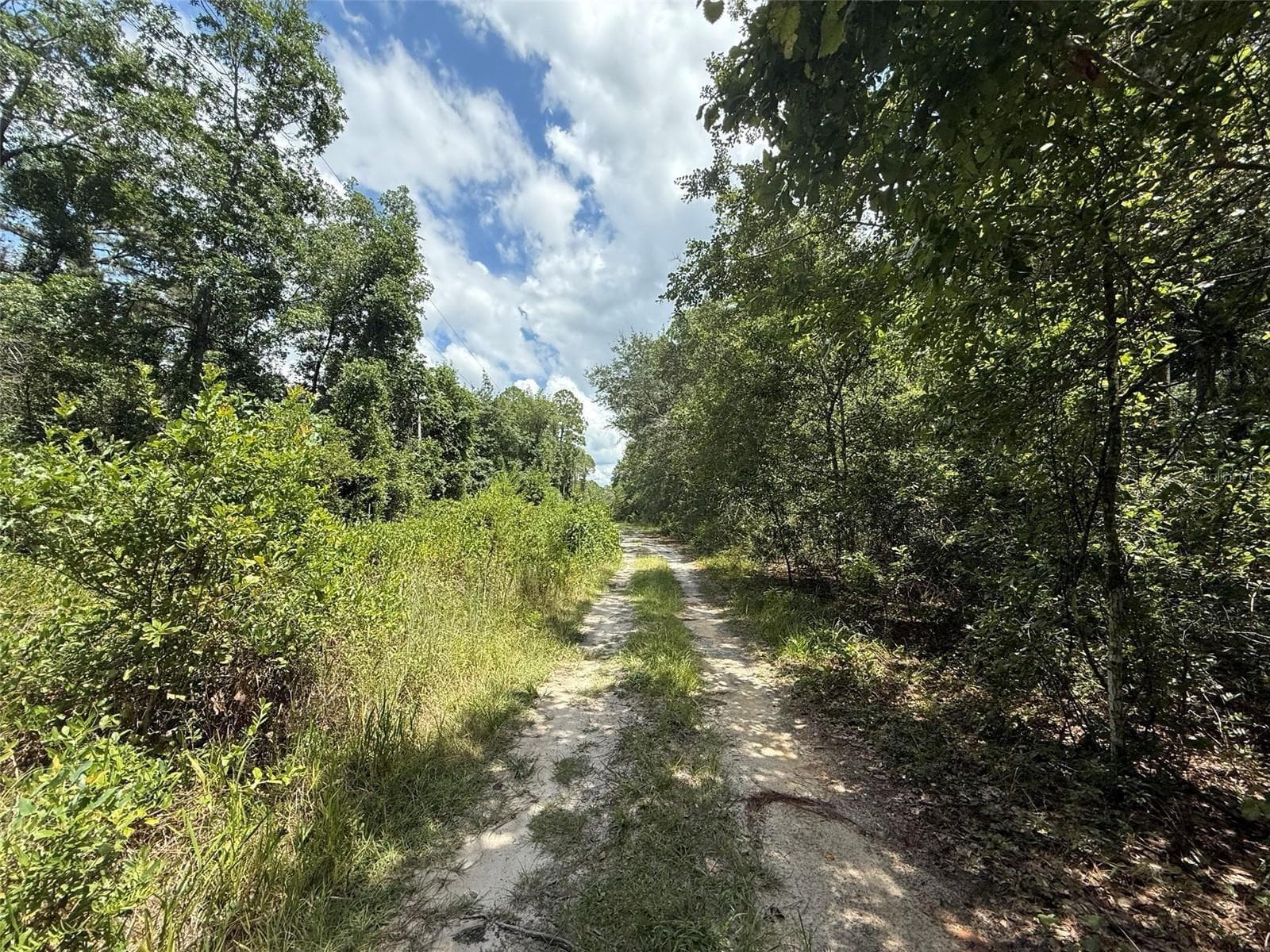 Land at 313 CALHOUN AVE, FLORAHOME, photo 5 of 7