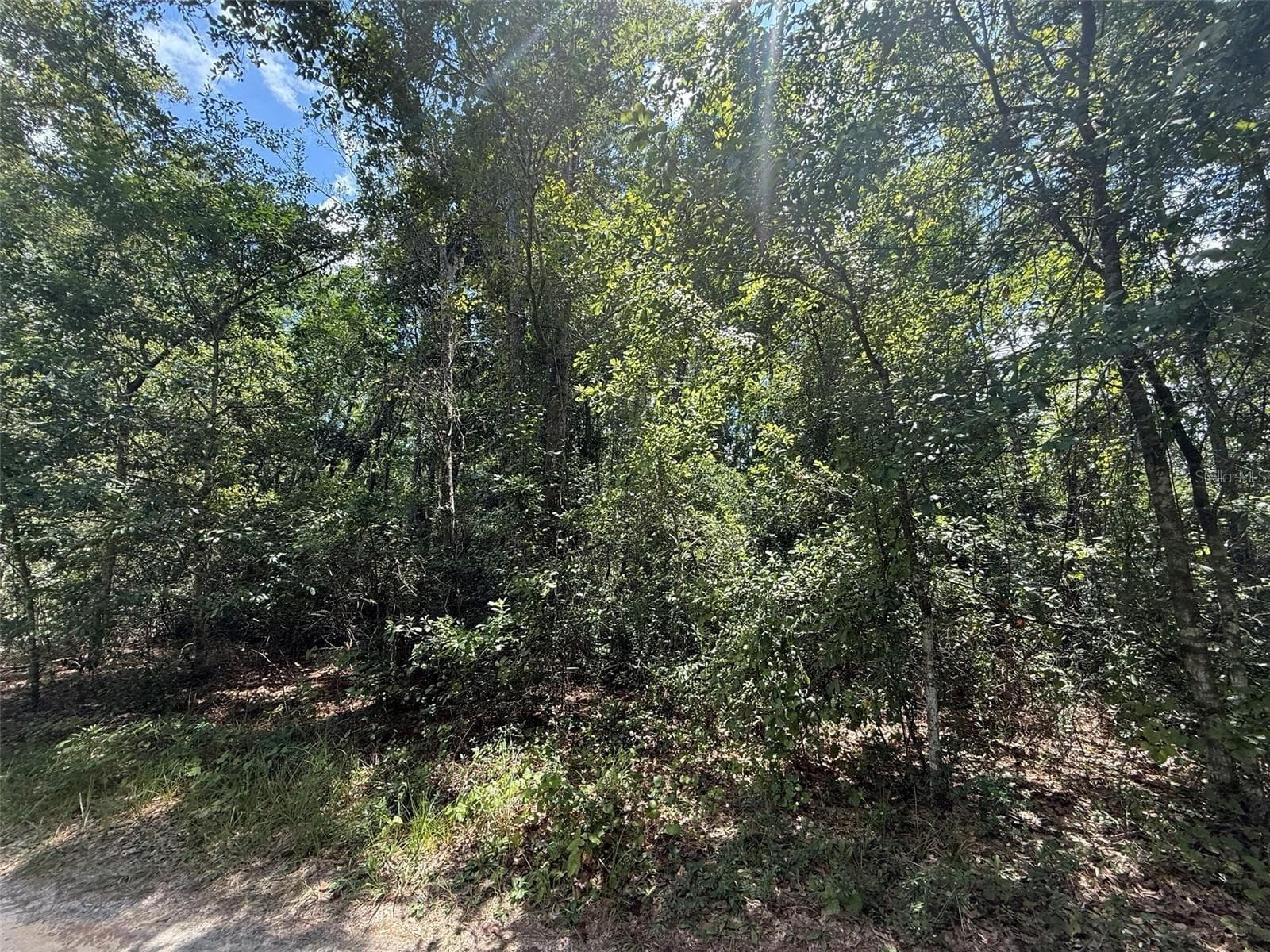 Land at 313 CALHOUN AVE, FLORAHOME, photo 6 of 7