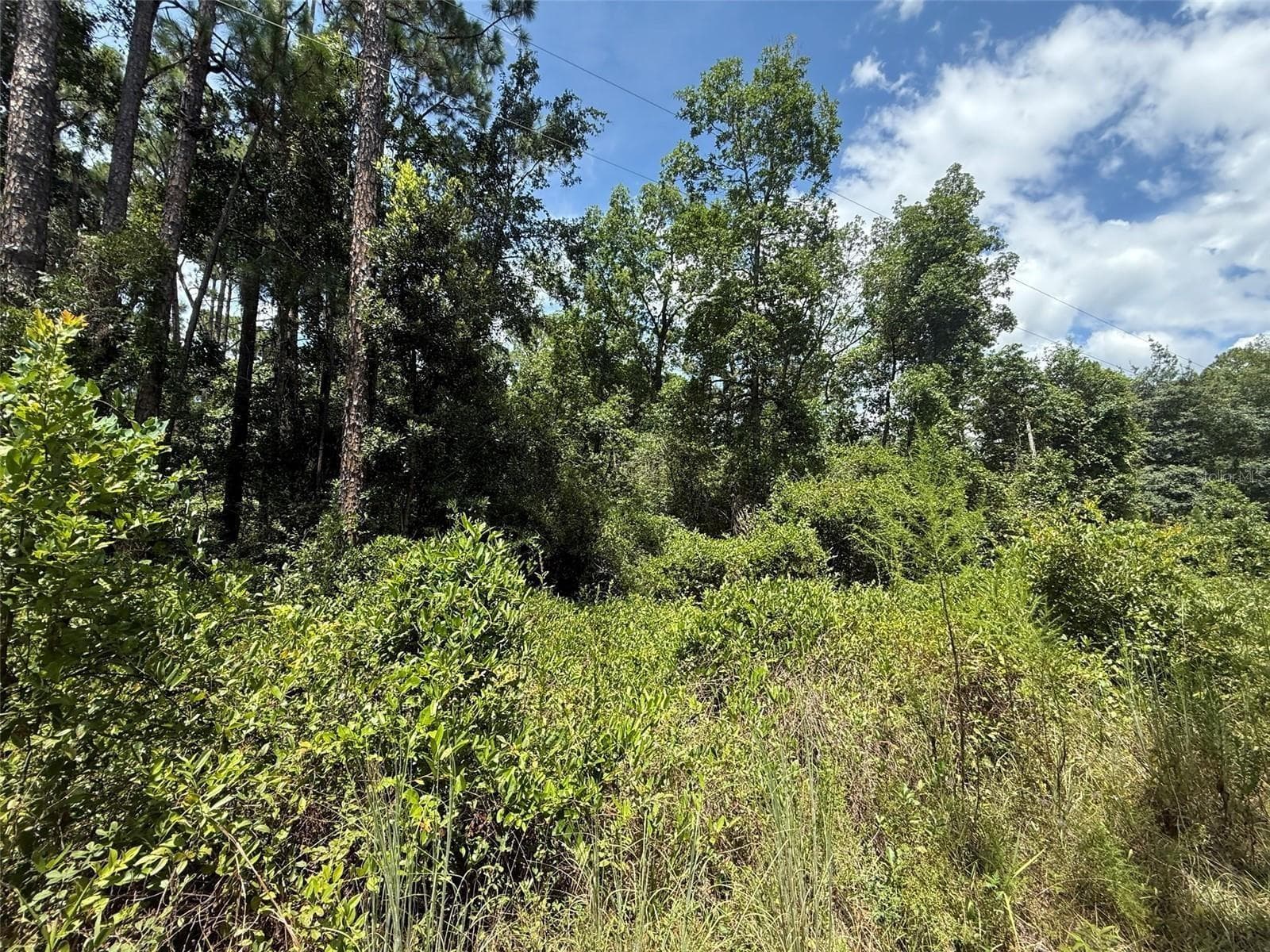 Land at 313 CALHOUN AVE, FLORAHOME, photo 7 of 7